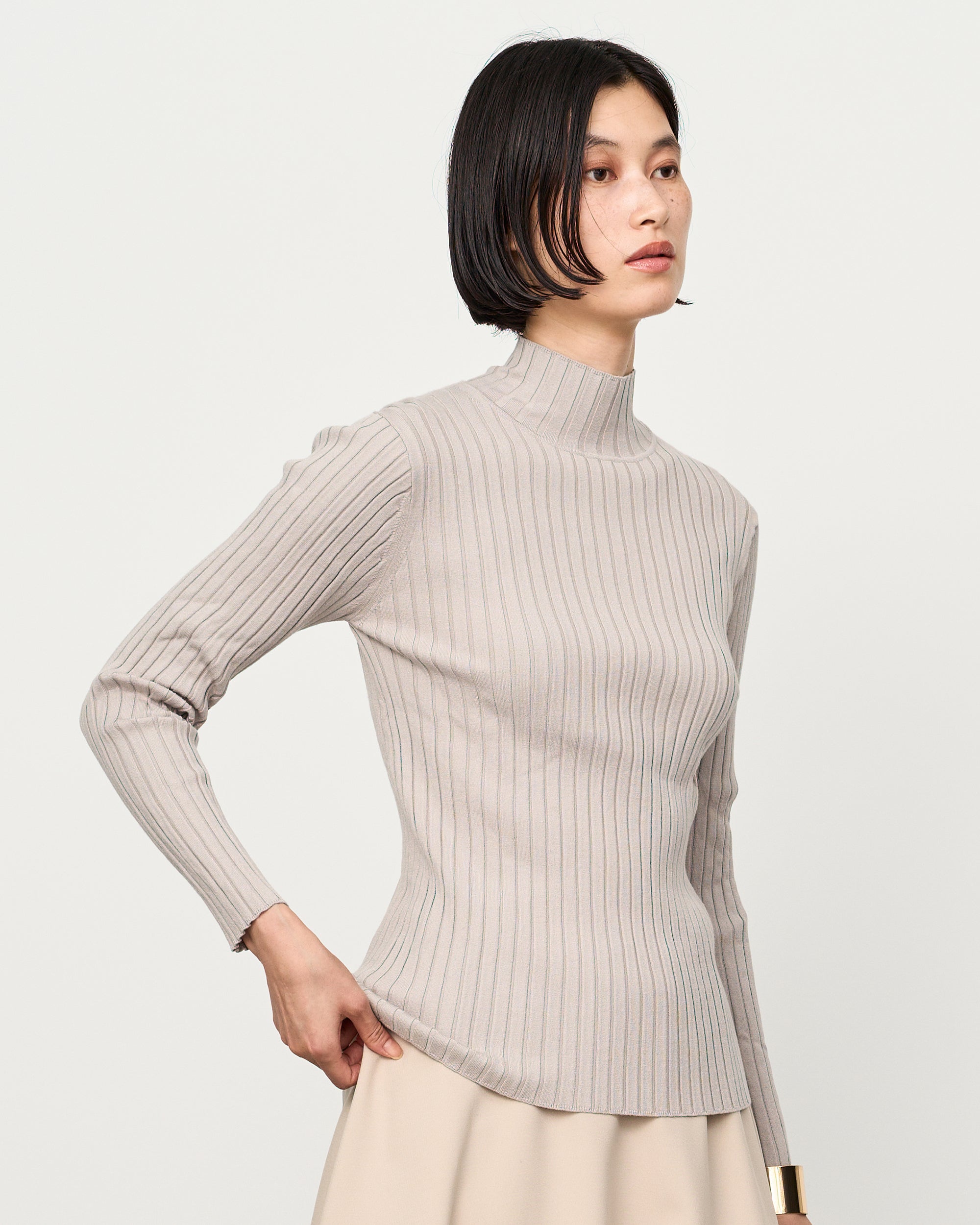 Wide Rib Turtleneck