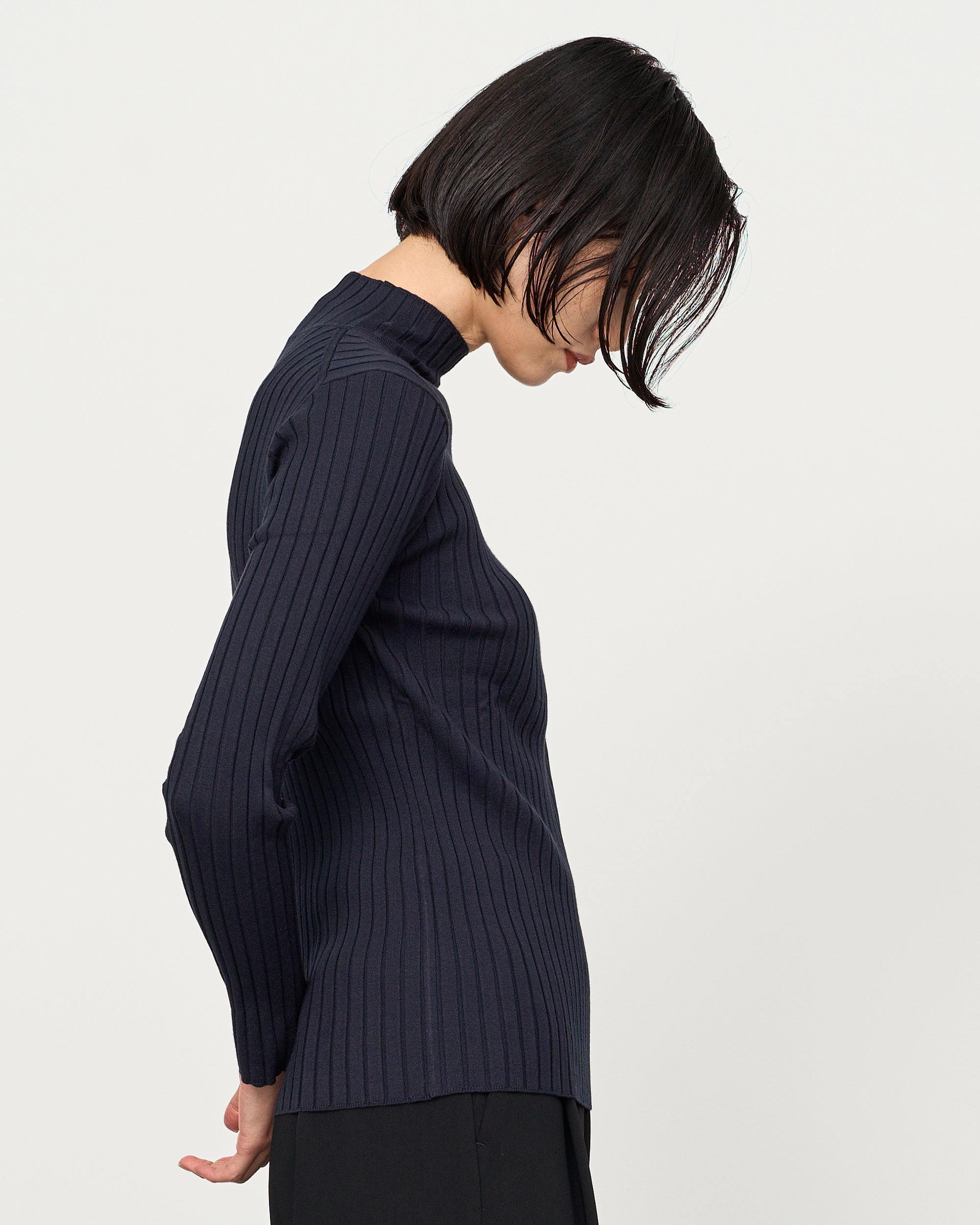 Wide Rib Turtleneck