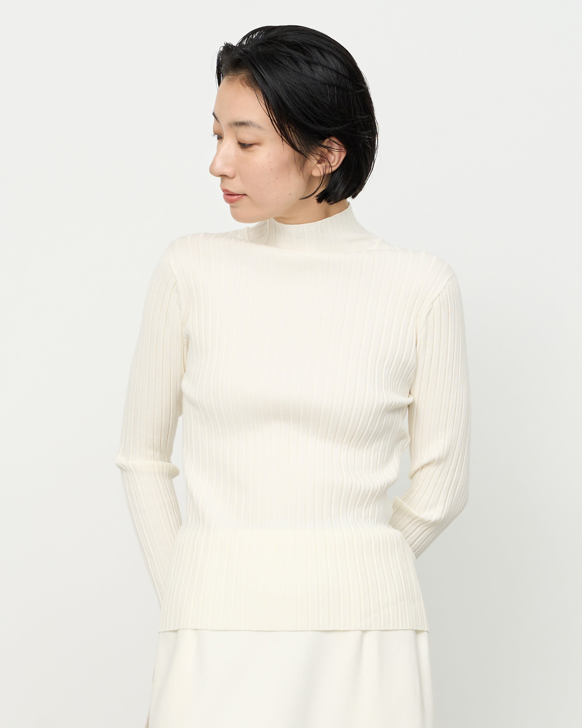 Wide Rib Turtleneck